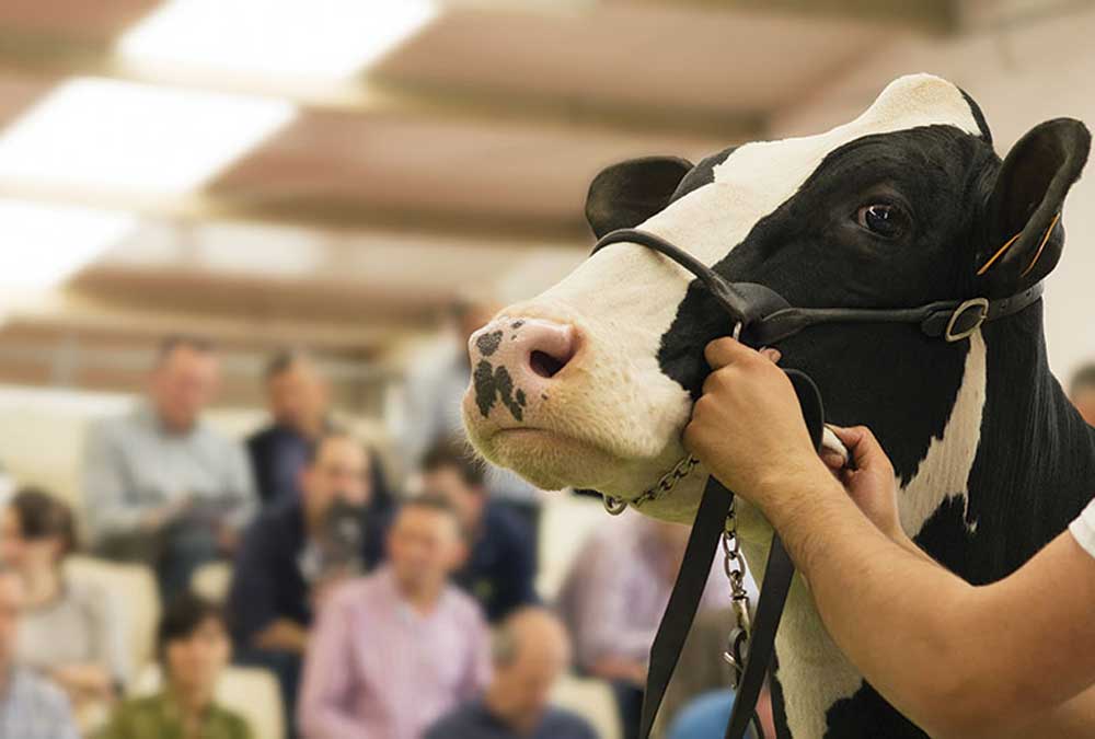 Inter-Creditor Agreement Helped Closed Acquisition