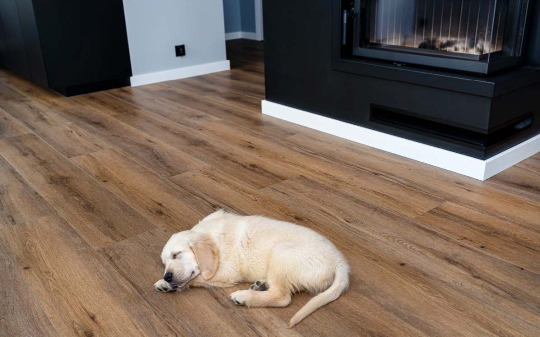 We Won't Stop Until We're The Flooring Kings of Michigan