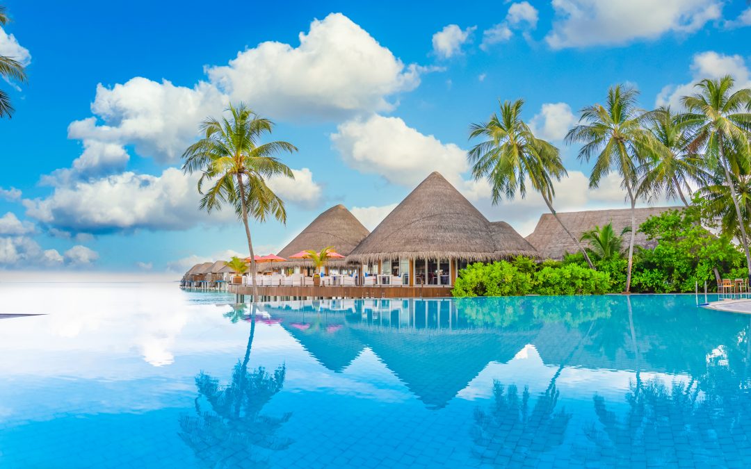 Unique Home-Based Business that Makes Money